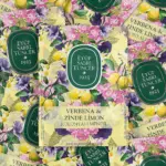 Verbena & Zinde Lemon Cologne Refreshing Towel 30 PCS - Image 4