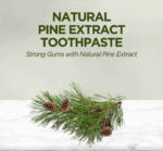 Natural Pine Oil Toothpaste 90 ML - Image 2