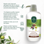 Hair Conditioner With Natural Olive Oil 600 ML - Image 5