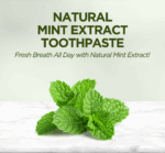 Natural Mint Extract Toothpaste 90 ML - Image 2