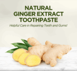 Natural Ginger Extract Toothpaste 90 ML - Image 2