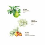 Gardenia Cologne 150 ML Plastic Bottle Spray - Image 2