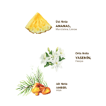 Hawaii Pineapple Cologne 400 ML Plastic Bottle - Image 2