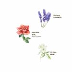 Lavender Cologne 150 ML Plastic Bottle Spray - Image 2