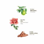 Magnolia Cologne 150 ML Plastic Bottle Spray - Image 2